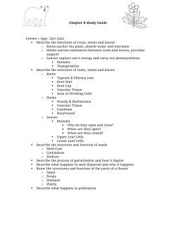 Chapter 8 Study Guide