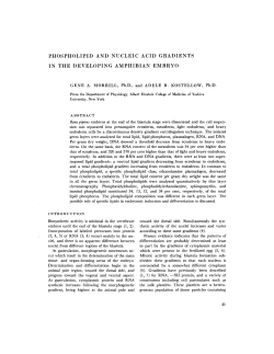 phospholipid and nucleic acid gradients in the