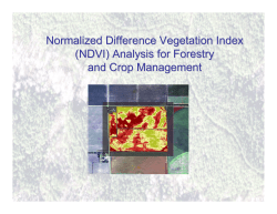 Normalized Difference Vegetation Index (NDVI)