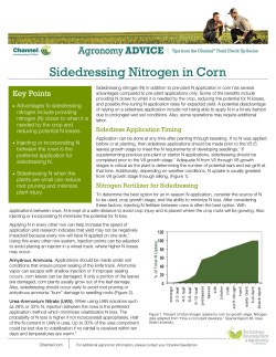 Sidedressing Nitrogen in Corn