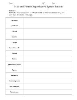 Male and Female Reproductive System Stations