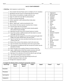 Worksheet - Humble ISD