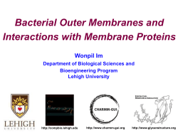 Bacterial Outer Membranes and Interactions with