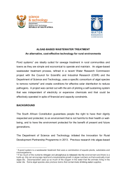 Algae-based wastewater treatment