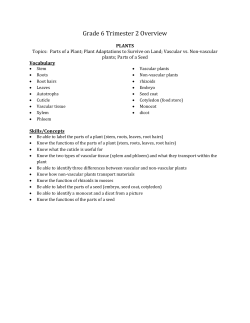 Grade 6 Trimester 2 Overview