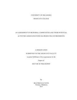 Doctoral Dissertation Template