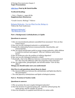 AP Biology Macromolecules Chapter 5 Topic Presentation: click