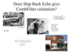 ELVIS Slap Back Echo