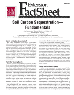 Soil Carbon Sequestration&mdash; Fundamentals