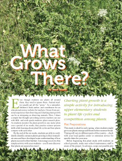 Charting plant growth is a simple activity for