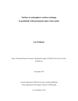 Surface to atmosphere carbon exchange in peatlands
