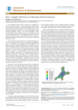 How a Single Cell Sense its Mechanical Environment?