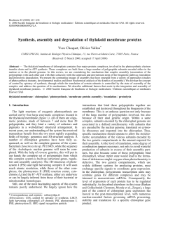 Synthesis, assembly and degradation of thylakoid membrane proteins
