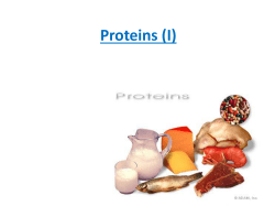 Proteins 1 sm