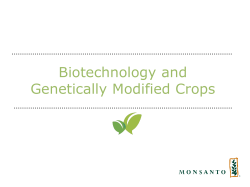 Genetically Modified Crops (GMOs)