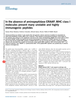 In the absence of aminopeptidase ERAAP, MHC class I molecules