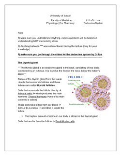L11 Physiology2 Dr Loai EndocrineSystem