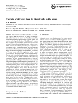 The fate of nitrogen fixed by diazotrophs in the