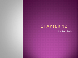 Chapter 12 - 123seminarsonly.com