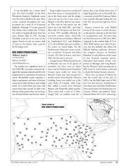 It was decidedly not a winter finch year. Two Red