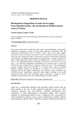 Biochemical composition of some brown algae from Iskenderun Bay