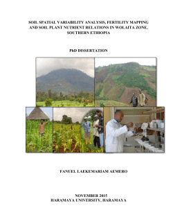 Fanuel Laekemariam Aemero Thesis