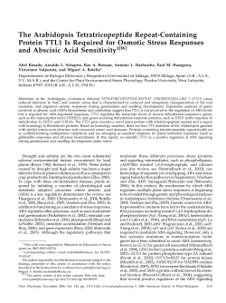 The Arabidopsis Tetratricopeptide Repeat