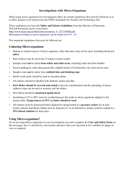 Care and Safety Using Micro-organisms 17