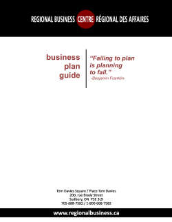 Business Plan Guide - Regional Business Centre