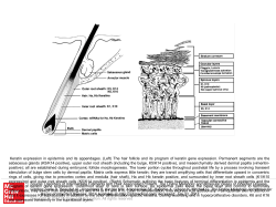 Slide 1 - Ommbid.com