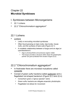 22.3 The Legume&ndash;Root Nodule Symbiosis