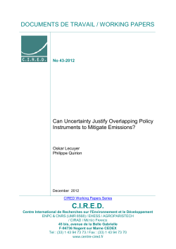 Can Uncertainty Justify Overlapping Policy Instruments to Mitigate