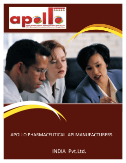 Business brochure (Burgundy Wave design)