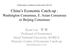 China`s Strategies for Economic Catch-up and