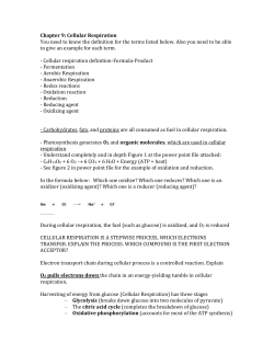 Chapter 9: Cellular Respiration You need to know the definition for