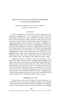 root nodules and isolation of endophyte