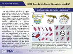SEED Team Builds Simple Microrobots from DNA