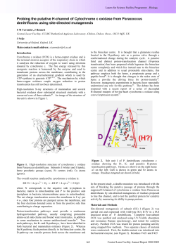 Probing the putative H-channel of Cytochrome c oxidase from