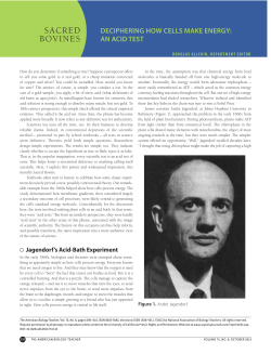 sacred bovines - SHiPS Resource Center