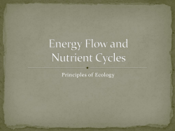 Energy Flow and Nutrient Cycles