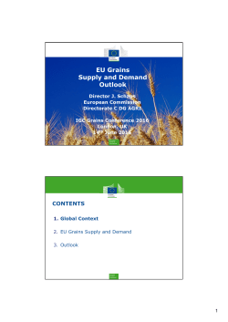 EU Grains Supply and Demand Outlook