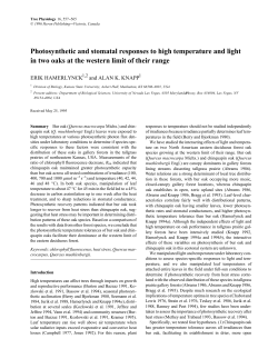 Photosynthetic and stomatal responses to high temperature and