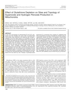 Effect of Glutathione Depletion on Sites and Topology of Superoxide