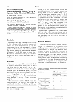 ATP Synthesis Driven by a Valinomycine Induced K+