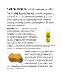 diffusion, osmosis, transport proteins, and engulfing. Why