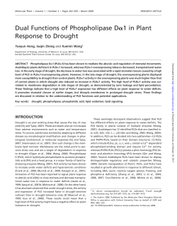 Dual Functions of Phospholipase Da1 in Plant Response to Drought