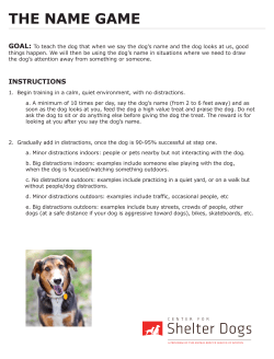 THE NAME GAME - Center for Shelter Dogs