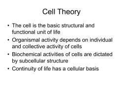 Cell Theory