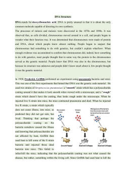 The two antiparallel polynucleotide chains of double helical