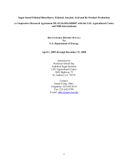 Sugar-based Ethanol Biorefinery: Ethanol, Succinic Acid